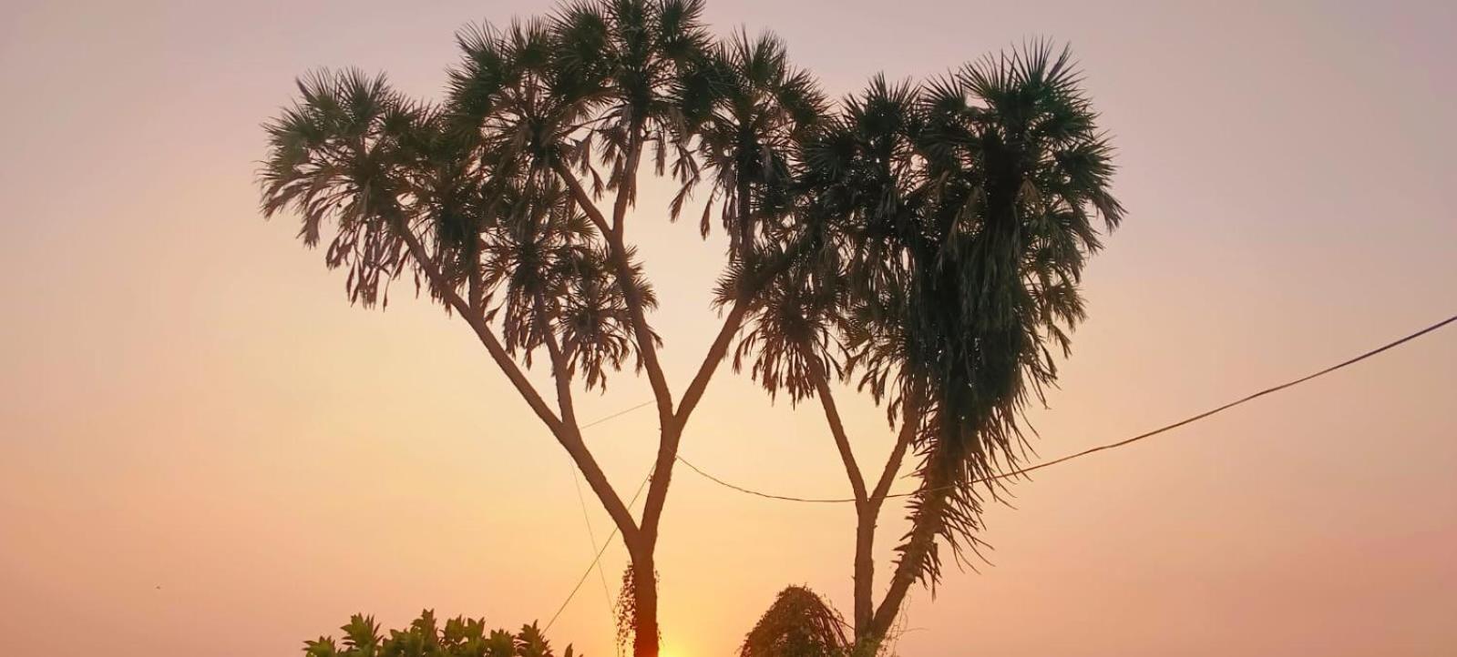 Swarn Villa Alibag Bagian luar foto